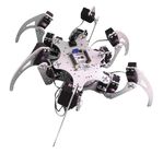 Roboter-silbrige pädagogische 6 Bein-bionische Hexapod Spinne Diy Arduino DOF