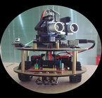 Multifunktionsfernsteuerungsschildkröten-Direktübertragung der auto-Teil-2WD intelligente des Antriebs-DIY